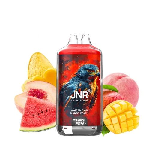 Uitgebreide en objectieve review van de Jnr Falcon X 18000: design, prestaties en smaak onder de loep